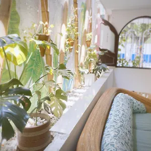 Maison d'hôtes Tia Chela, Santa Marta (Magdalena)