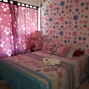 Nativa Trinsan Centro Hostal San Andrés